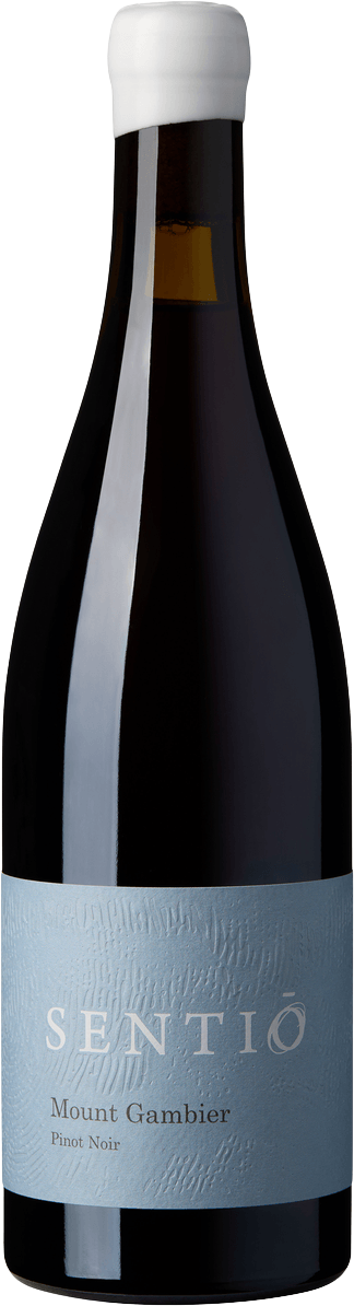 Pinot Noir 2024 — Mount Gambier